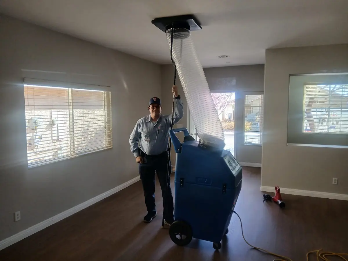 Professional Dryer Vent Cleaning work inside a Westfield home